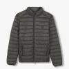 scalperscompany Chaqueta Acolchada Calavera-Hombre Big And Tall