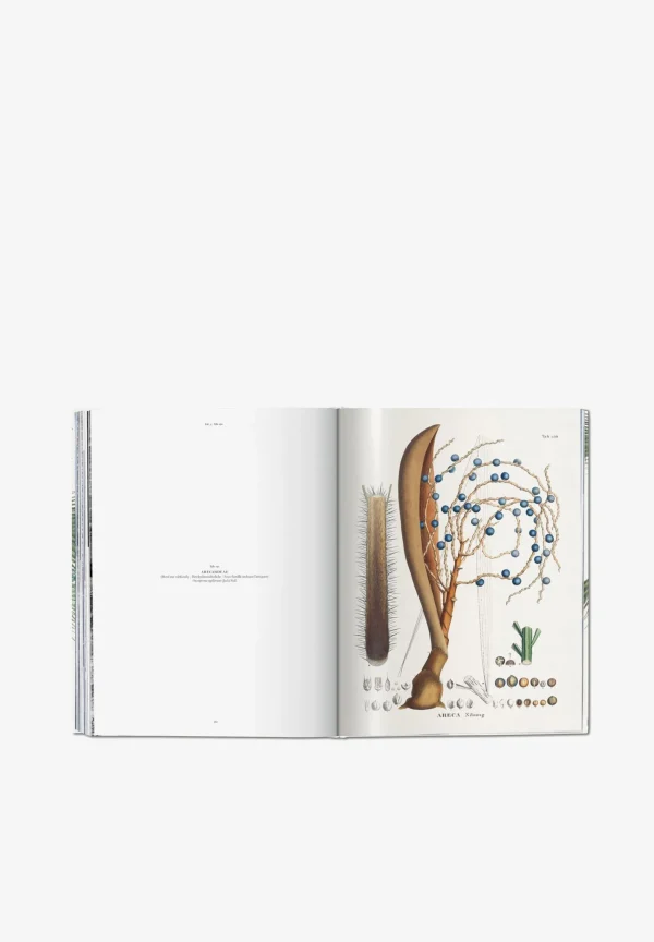 TASCHEN | Libro Book Of Palms-Hombre Mas Accesorios